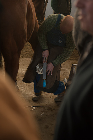 Farriers_TCC6904