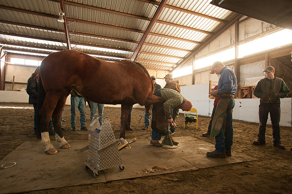 Farriers_TCD5415
