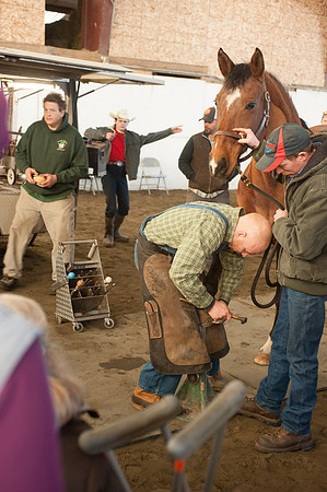 Farriers_TCC6827