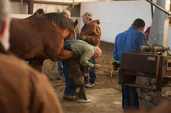 Farriers_TCC6909