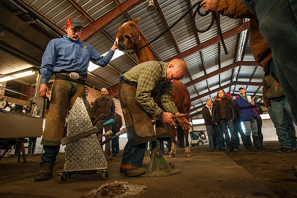 Farriers_TCD5424