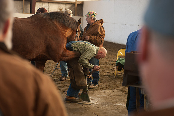 Farriers_TCC6910