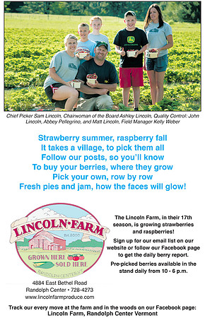 Lincoln Farm #2 060916.indd